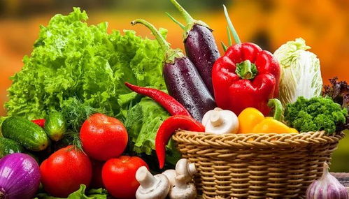 垃圾分類新潮流 苗木廢棄物如何處理？生活垃圾分類實(shí)用小妙招